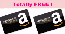 100% FREE Amazon Gift Card { $4.00 ! }