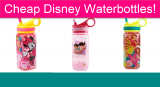 Disney Waterbottles ONLY $7.79! RARE FREE Shipping!