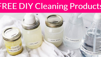 FREE DIY Cleaning Products!